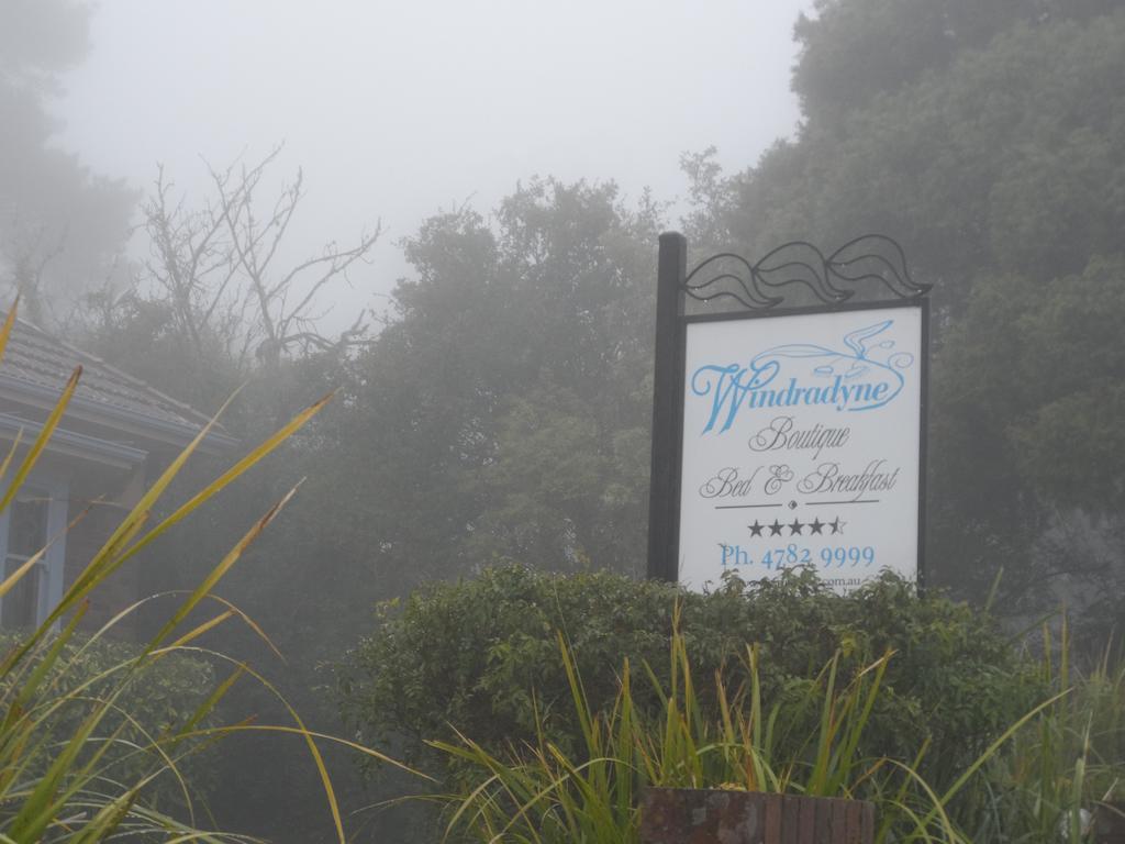 Windradyne Boutique Bed & Breakfast Katoomba Luaran gambar